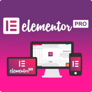 Elementor PRO WordPress Page Builder + Pro Templates