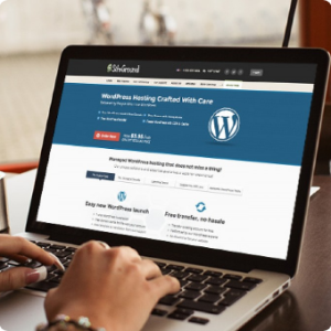 WordPress Password Maintenance