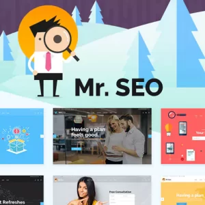 Mr. SEO SEO, Marketing Agency and Social Media Theme