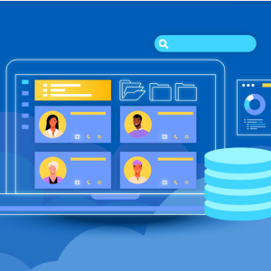 Database Portal Software