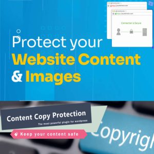 WebPage Protection Plugin